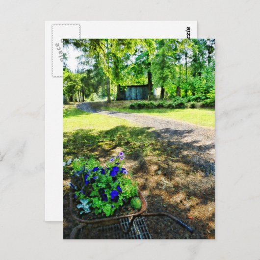 Im Wald Postkarte (Vorne/Hinten)