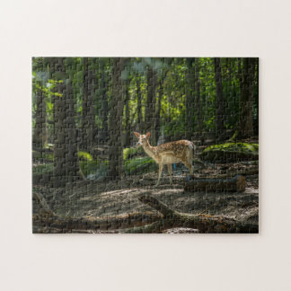 Im Wald Puzzle