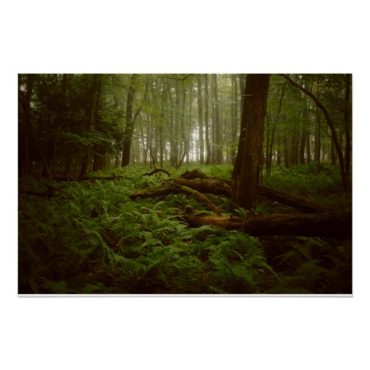 Im Wald verloren Poster (Vorderseite)