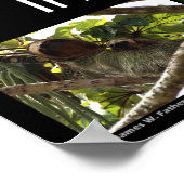 Im Wald von Costa Rica Poster (Ecke)