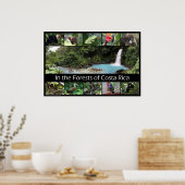 Im Wald von Costa Rica Poster (Küche)