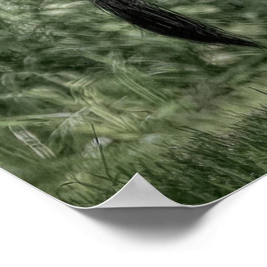 Im Wald - Weide Grün B&W Poster (Ecke)