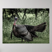 Im Wald - Weide Grün B&W Poster (Vorne)