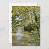 Im Wasser (Vorne/Hinten)