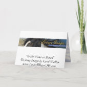 Im Wasser bei Morgendämmerung Pferdegrußkarte Karte (Rückseite)