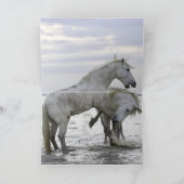 Im Wasser bei Morgendämmerung Pferdegrußkarte Karte (Innenseite)