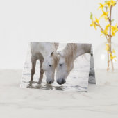 Im Wasser bei Morgendämmerung Pferdegrußkarte Karte (Gelbe Blume)