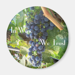 Im Weinsektor vertrauen wir Magnet