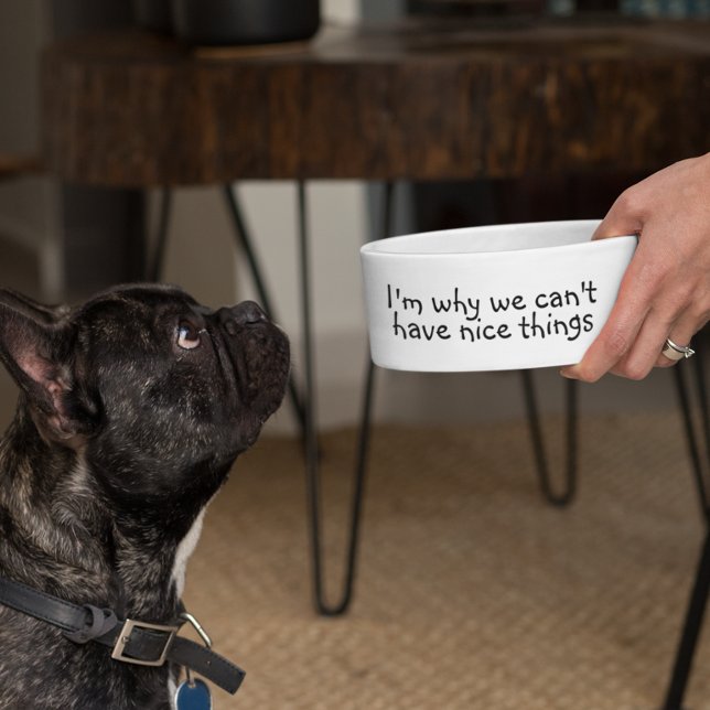 I'm Why we Can't have Nice Things Funny Napf (Von Creator hochgeladen)