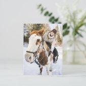 Im Winter auf Pferd Postkarte (Stehend Vorderseite)