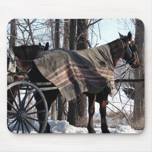 Im Winter Gewartet Pferde aus Amish Mousepad (Vorne)