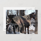 Im Winter Gewartet Pferde aus Amish Postkarte (Vorne/Hinten)