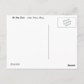 Im Zoo - Postkarte (Rückseite)