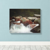 Im Zweifel an der Dürre im Frühjahr 2 Leinwanddruck (Insitu (Holzboden))