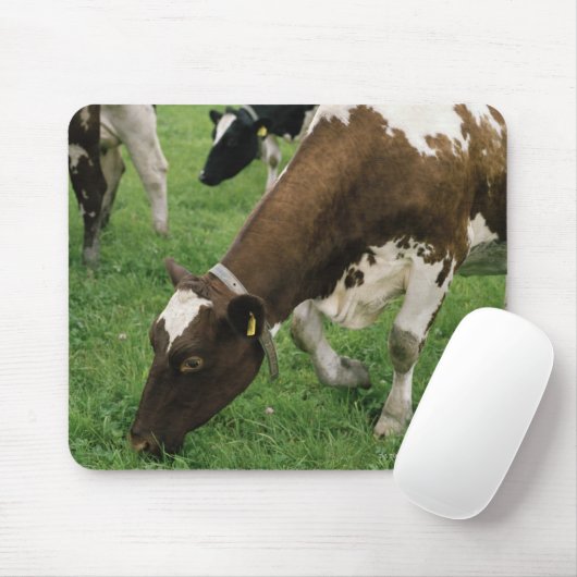 Ima28991 Mousepad (Mit Mouse)