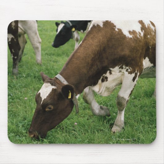 Ima28991 Mousepad (Vorne)