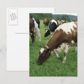 Ima28991 Postkarte (Vorne/Hinten)