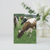 Ima28991 Postkarte (Stehend Vorderseite)