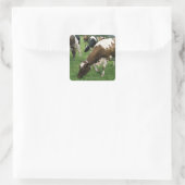 Ima28991 Quadratischer Aufkleber (Tasche)