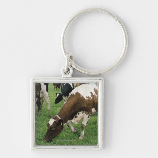 ima28991 schlüsselanhänger (Vorne)