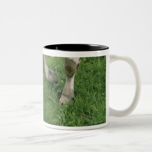 ima28991 zweifarbige tasse (Rechts)