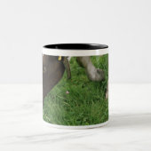 ima28991 zweifarbige tasse (Mittel)