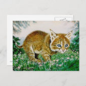 Ima Bobkitty Postkarte (Vorne/Hinten)