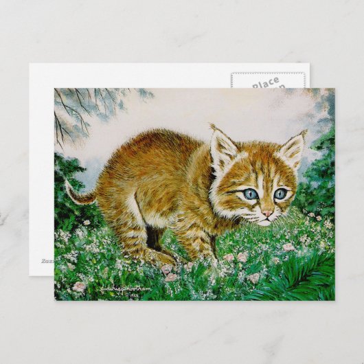 Ima Bobkitty Postkarte (Vorne/Hinten)