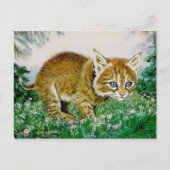 Ima Bobkitty Postkarte (Vorderseite)