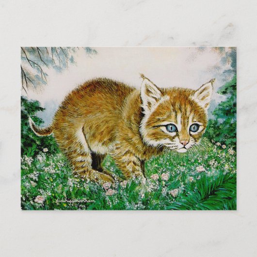 Ima Bobkitty Postkarte (Vorderseite)