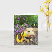 ImaBee Karte (Gelbe Blume)