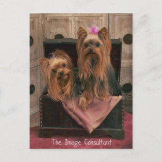Image Consultant Postkarte