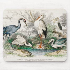 image-from-rawpixel-id-411915.jpg mousepad