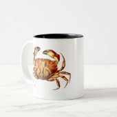 image-from-rawpixel-id-547457.png zweifarbige tasse (Vorderseite Links)