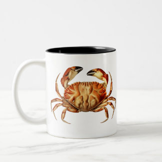 image-from-rawpixel-id-547457.png zweifarbige tasse