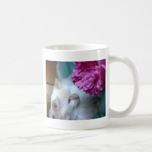 image.jpg kaffeetasse