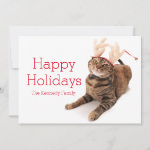 Image of a very cute little cat wearing reindeer feiertagskarte