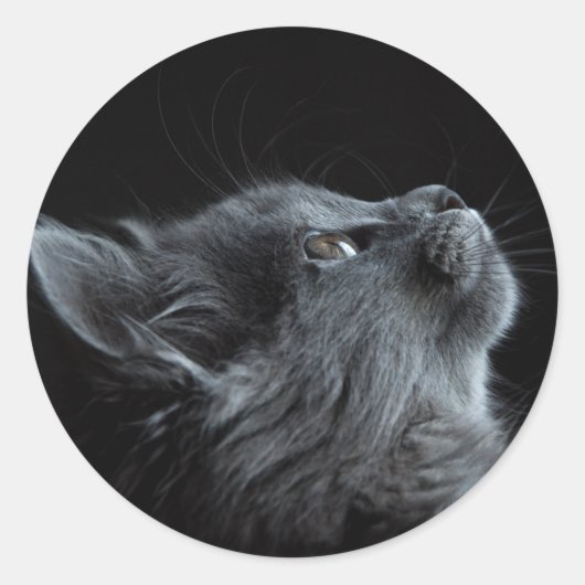 imagem que combina com qualquer escolha de colagem runder aufkleber (Vorderseite)