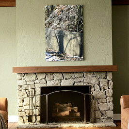 Imaginary Shadow Winter Tree Fine Art Photography Leinwanddruck