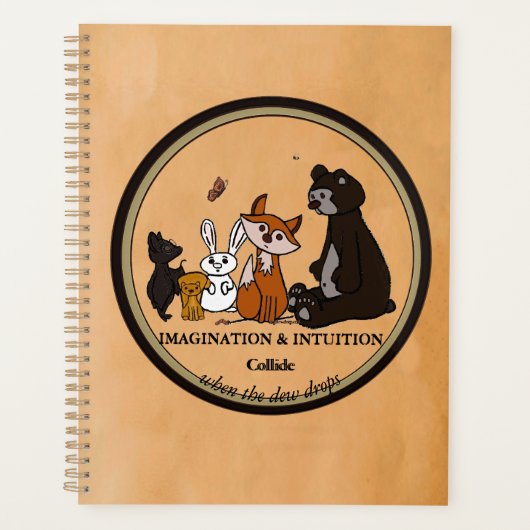 IMAGINATION & INTUITION Collide Planer (Vorderseite)