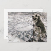 "Imagine" alias "Golden in Strawberry Fields" Postkarte (Vorne/Hinten)