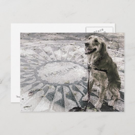 "Imagine" alias "Golden in Strawberry Fields" Postkarte (Vorne/Hinten)