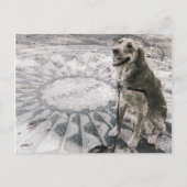 "Imagine" alias "Golden in Strawberry Fields" Postkarte (Vorderseite)