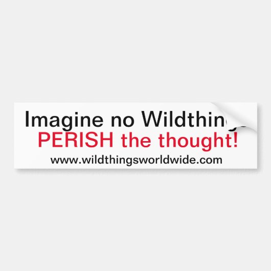 IMAGINE - Autoaufkleber (Vorne)