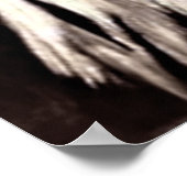 IMAGININGS POSTER (Ecke)