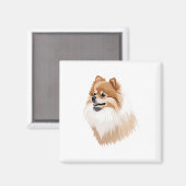 Imán ilustración perro pomerania magnet (Vorderseite/Rückseite)