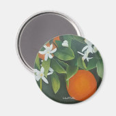 Imán Magnet (Vorderseite/Rückseite)