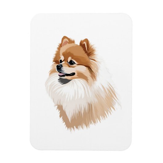 Imán nevera perro pomerania magnet (Vertikal)