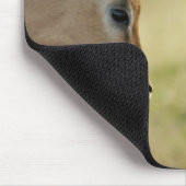 Imapla (Aepyceros melampus) wollend zu kämpfen, Mousepad (Ecke)