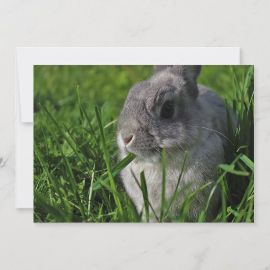 Imbiss-Zeit Einladung (Vorderseite)